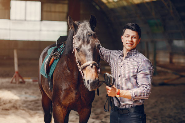 caballo seguro - asegura tu camion de caballos